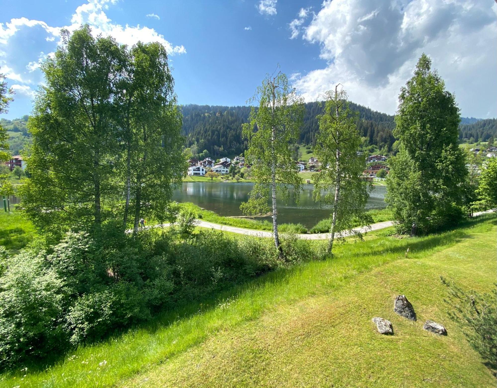 Lakeside - 3.5 Zimmer Ferienwohnung Am Laaxersee Екстер'єр фото