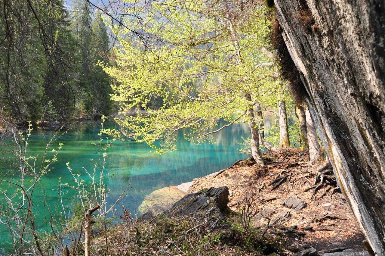 Lakeside - 3.5 Zimmer Ferienwohnung Am Laaxersee Екстер'єр фото